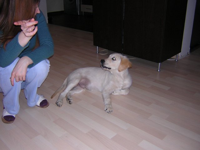 Original image